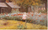 Buy Poppy Garden at AllPosters.com