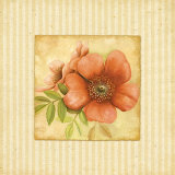 Buy Timeless II at AllPosters.com