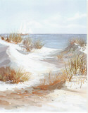 Dune Path