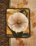 Buy White Poppy at AllPosters.com