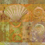 Buy Seashell Collage at AllPosters.com