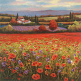 Poppy Pastures I