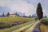 Holiday in Tuscany