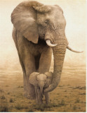 Momma's Boy