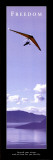 Freedom: Hang Glider