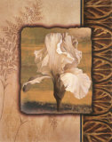 Buy White Iris at AllPosters.com
