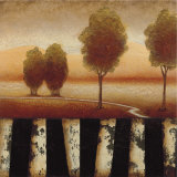 Forest Light II