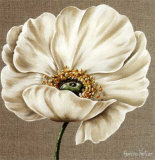 Buy Rose Blanche at AllPosters.com