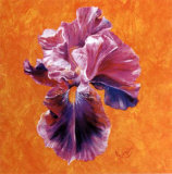 Buy Un Amour d'Iris at AllPosters.com