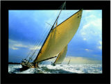 Buy Tuiga at AllPosters.com