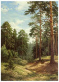 Buy Untouched Nature at AllPosters.com