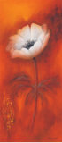 Anemone I