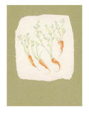 Buy Vegetables I at AllPosters.com