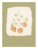 Buy Vegetables II at AllPosters.com