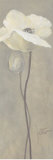 Buy Poppy in White IV at AllPosters.com