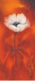 Anemone II