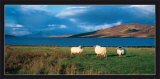 Isle of Skye