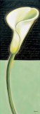Buy White Lily at AllPosters.com