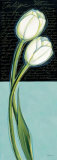 Buy White Tulip at AllPosters.com