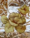 Buy Wild Rose With Scroll I at AllPosters.com