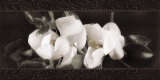 Buy Soft Magnolias II at AllPosters.com