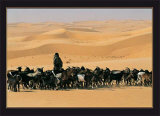 Touareg, Niger
