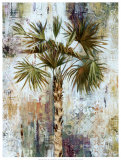Buy Palm at AllPosters.com