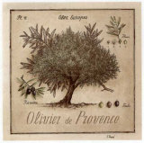 Olivier de Provence