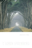Buy Corridor of Cypress at AllPosters.com