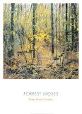 Buy Deep Wood October at AllPosters.com