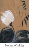 Buy White Blossom III at AllPosters.com