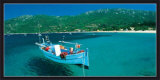 Buy Campomoro at AllPosters.com