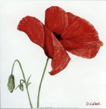 Buy Summertime at AllPosters.com