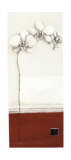 Buy Orchid II at AllPosters.com