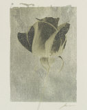 Buy Silver Stem II at AllPosters.com