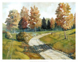 Buy Autumn Walkway at AllPosters.com