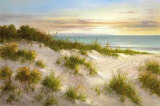 Buy Golden Sunset II at AllPosters.com