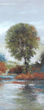 Country Maple