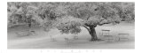 Buy Lakeside Park at AllPosters.com