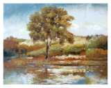 Whispering Maple