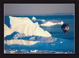 Illulissat Groenland