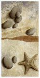 Buy Galets Bleus et Etoile de Mer at AllPosters.com