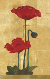 Golden Poppy II