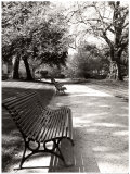 Buy April in Paris at AllPosters.com