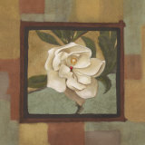 Spring Magnolia II