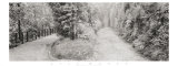 Buy Parallel Paths at AllPosters.com