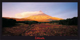 Buy Kamtchatka, Russie at AllPosters.com