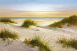 Buy Golden Sunset I at AllPosters.com
