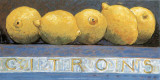 Buy Les Citrons at AllPosters.com