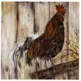 Buy Coq et Branche d'Arbre at AllPosters.com